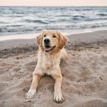 Ferienapartment Kleiner Strandkorb - Ihr Rueckzugsort Zwischen Ostsee Und Bodden *